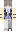 skin of a player
