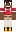 skin of a player