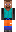 skin of a player