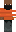 skin of a player