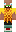 skin of a player