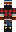 skin of a player