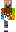 skin of a player