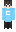 skin of a player