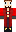 skin of a player