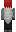skin of a player
