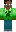 skin of a player