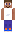 skin of a player