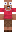 skin of a player