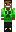 skin of a player