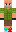 skin of a player