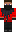 skin of a player