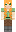skin of a player