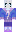 skin of a player