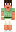 skin of a player
