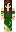 skin of a player