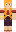 skin of a player