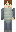 skin of a player