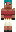 skin of a player