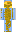 skin of a player