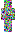 skin of a player