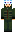 skin of a player