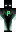 skin of a player