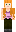 skin of a player