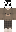 skin of a player