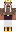 skin of a player