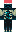 skin of a player