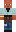 skin of a player