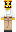 skin of a player