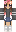 skin of a player