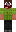 skin of a player