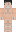 skin of a player