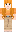 skin of a player
