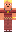 skin of a player