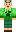 skin of a player