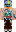 skin of a player