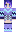 skin of a player