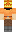 skin of a player