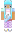 skin of a player