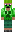 skin of a player