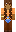 skin of a player
