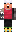 skin of a player
