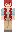 skin of a player