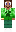 skin of a player