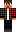 skin of a player