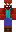skin of a player